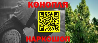 стафф Моздок