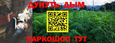 стафф Моздок