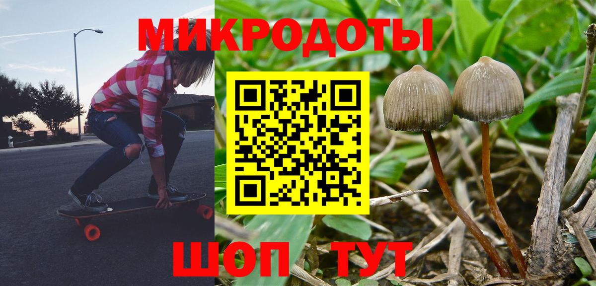 Стрежевой  Псилоцибиновые грибы MAGIC MUSHROOMS  Галлюциногенные грибы мухоморы  Вход с VPN 